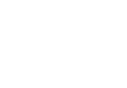 Styli